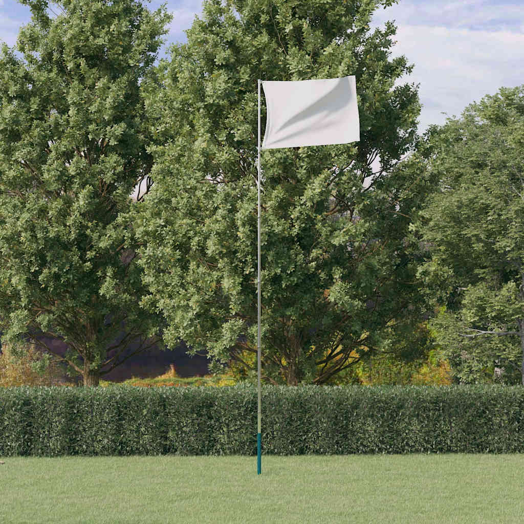 Vidaxx Fahnenmast Teleskop 5,55 m Aluminium silberfarben