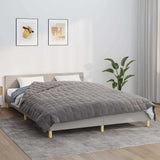 Vidaxx Gewichtsdecke 220x235 cm 15 kg Stoff grau