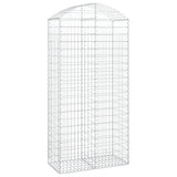Vidaxx Gabione gewölbt 100x50x200 220 cm verzinktes Eisen