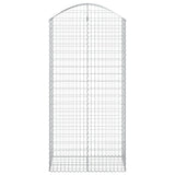Vidaxx Gabione gewölbt 100x50x200 220 cm verzinktes Eisen