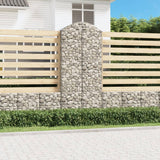Vidaxx Gabione gewölbt 100x50x220 240 cm verzinktes Eisen
