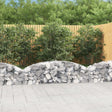 Vidaxx Gabione gewölbt 200x30x40 60 cm verzinktes Eisen