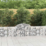 Vidaxx Gabione gewölbt 200x30x60 80 cm aus verzinktem Eisen