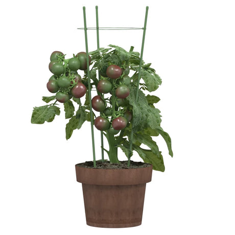 Vidaxxl Pflanzenstützen 5 Stück mit 3 Ringen 45 cm Stahl grün
