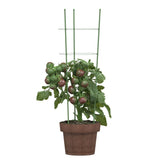 VidaXL Pflanzenstützen 5 Stück mit 3 Ringen 60 cm Stahl grün