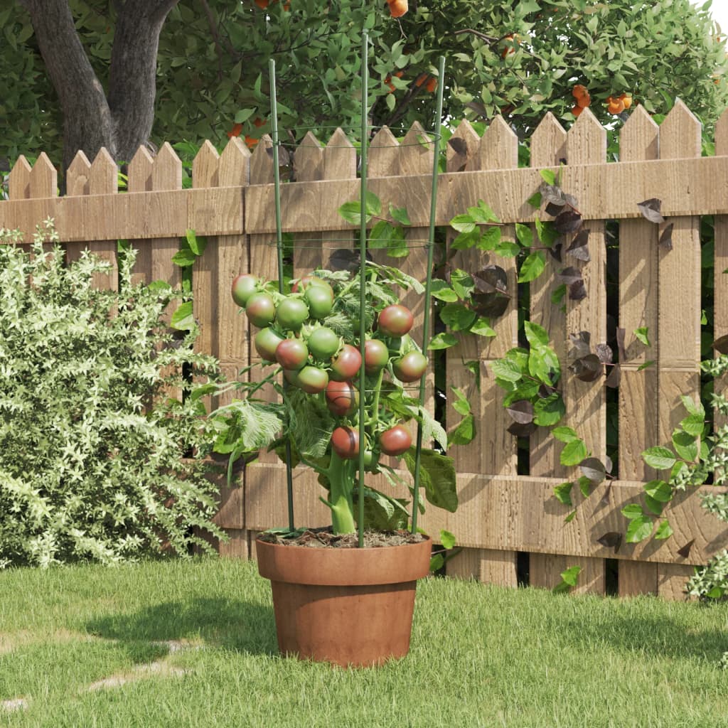 VidaXL Pflanzenstützen 5 Stück mit 3 Ringen 60 cm Stahl grün