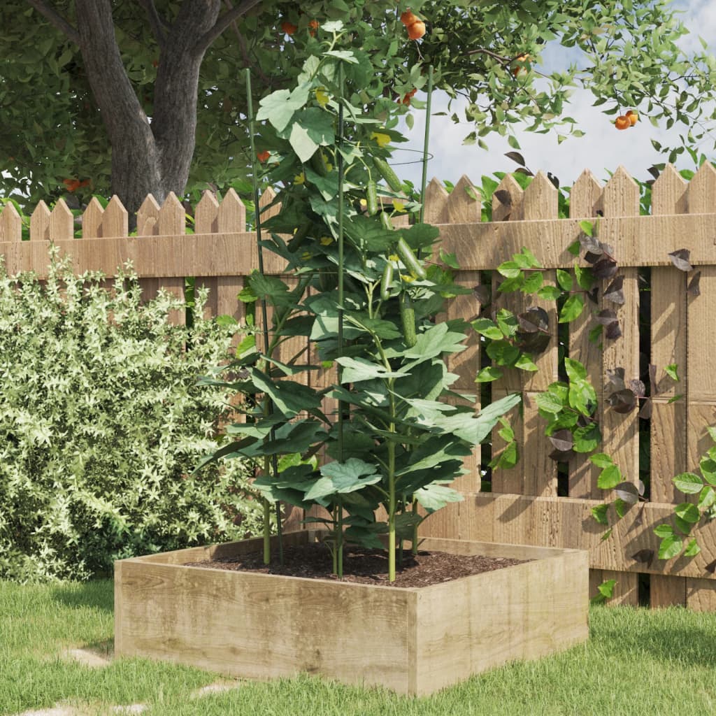 VidaXL Pflanzenstützen 5 Stück mit 3 Ringen 75 cm Stahl grün