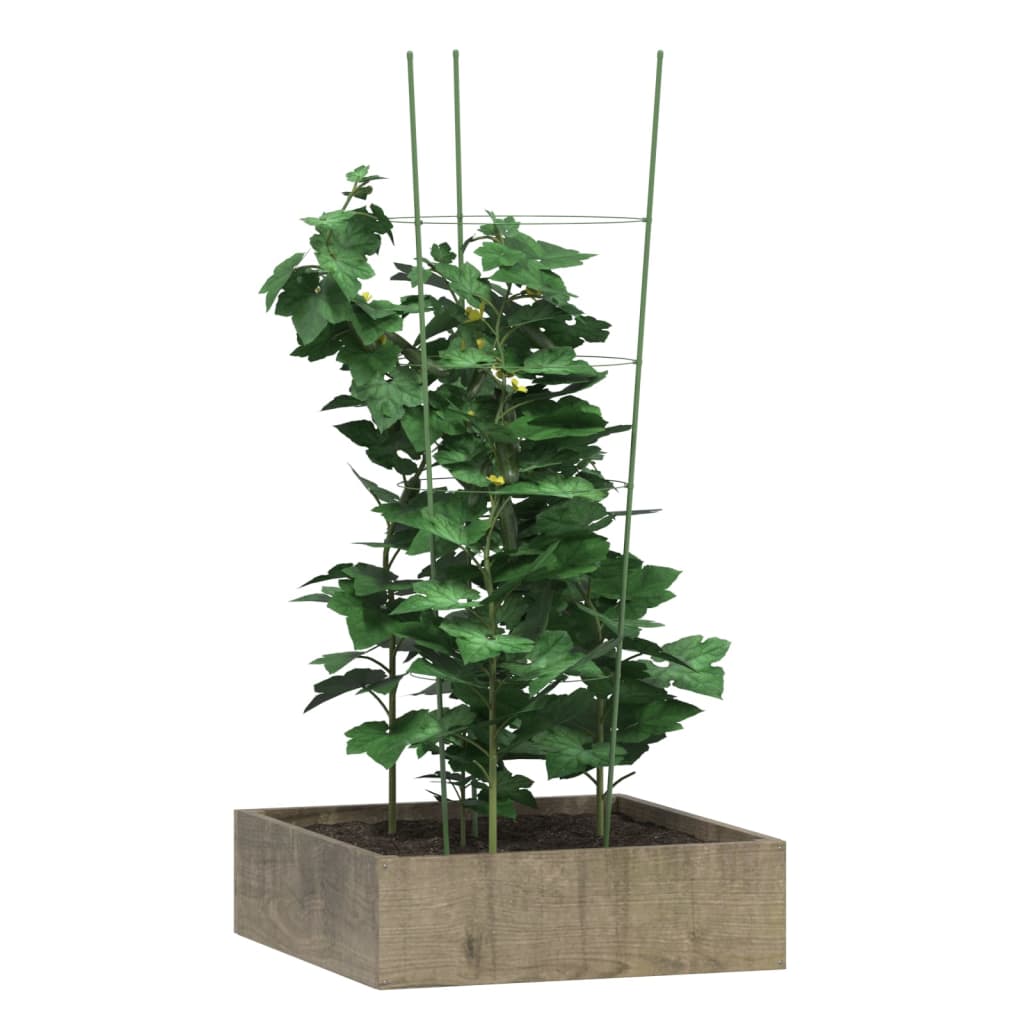 VidaXL Pflanzenstützen 5 Stück mit 4 Ringen 90 cm Stahl grün