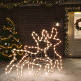 VidaXL Weihnachtsfigur Rentier mit LEDs 2 Stück 57x55x4,5 cm warmweiß
