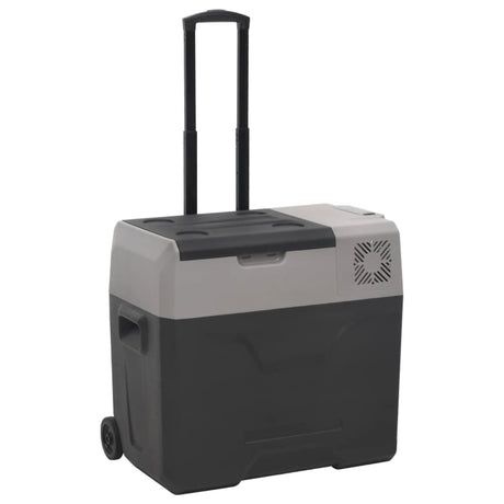 Vidaxx Kühlbox mit Rollen und Griff 30 l Polypropylen schwarz und grau