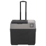 Vidaxx Kühlbox mit Rollen und Griff 30 l Polypropylen schwarz und grau
