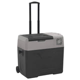 Vidaxx Kühlbox mit Rollen und Griff 40 l Polypropylen schwarz und grau