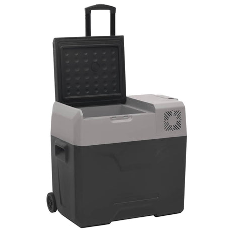 Vidaxx Kühlbox mit Rollen und Griff 40 l Polypropylen schwarz und grau