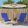 VidaXL Strandtücher 2 Stück 400 g m² 60x135 cm Stoff Königsblau