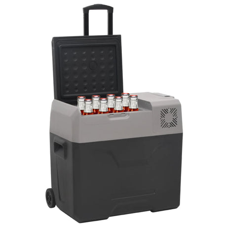 Vidaxx Kühlbox mit Rollen und Adapter 30 l Polypropylen schwarz und grau
