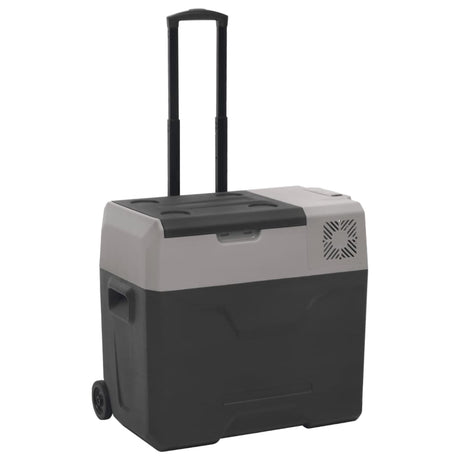 Vidaxx Kühlbox mit Rollen und Adapter 40 l Polypropylen schwarz und grau