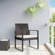 Vidaxl tuinstoelen 2 st polypropeen rattan bruin