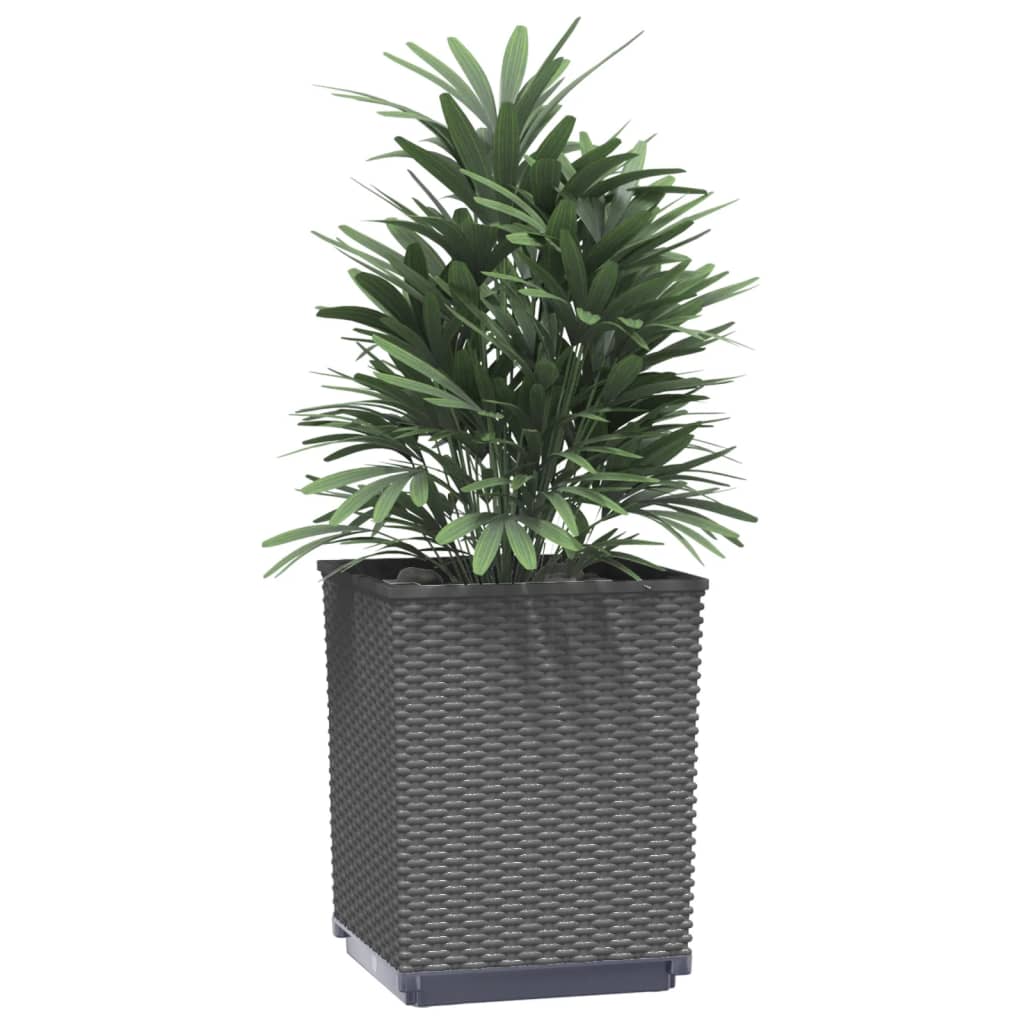 VidaXL Pflanzgefäße 2 Stück 30x30x37 cm Polypropylen schwarz