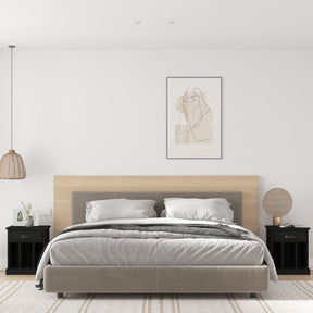 Vidaxl nachtkastjes 2 st 43x36x50 cm zwart