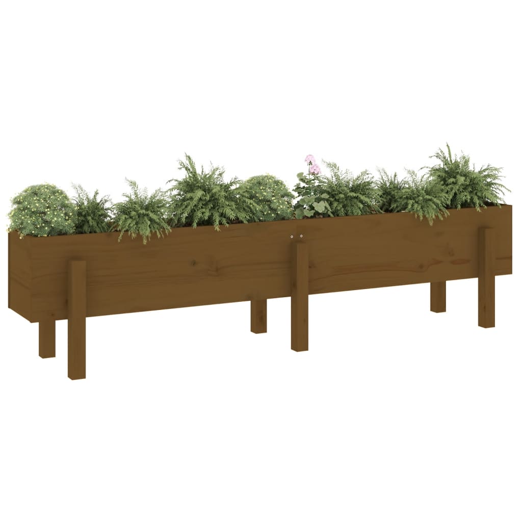 Vidaxx Pflanzgefäß erhöht 160x30x38 cm massives Kiefernholz honigbraun