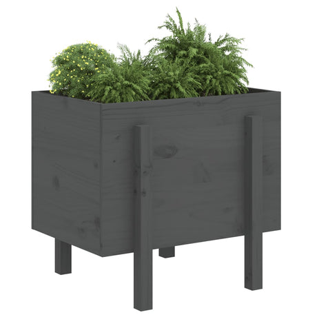 Vidaxx Pflanzgefäß 62x50x57 cm massives Kiefernholz grau