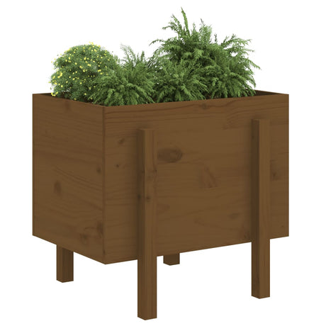Vidaxx 810552 Pflanzgefäß 62x50x57 cm massives Kiefernholz honigbraun