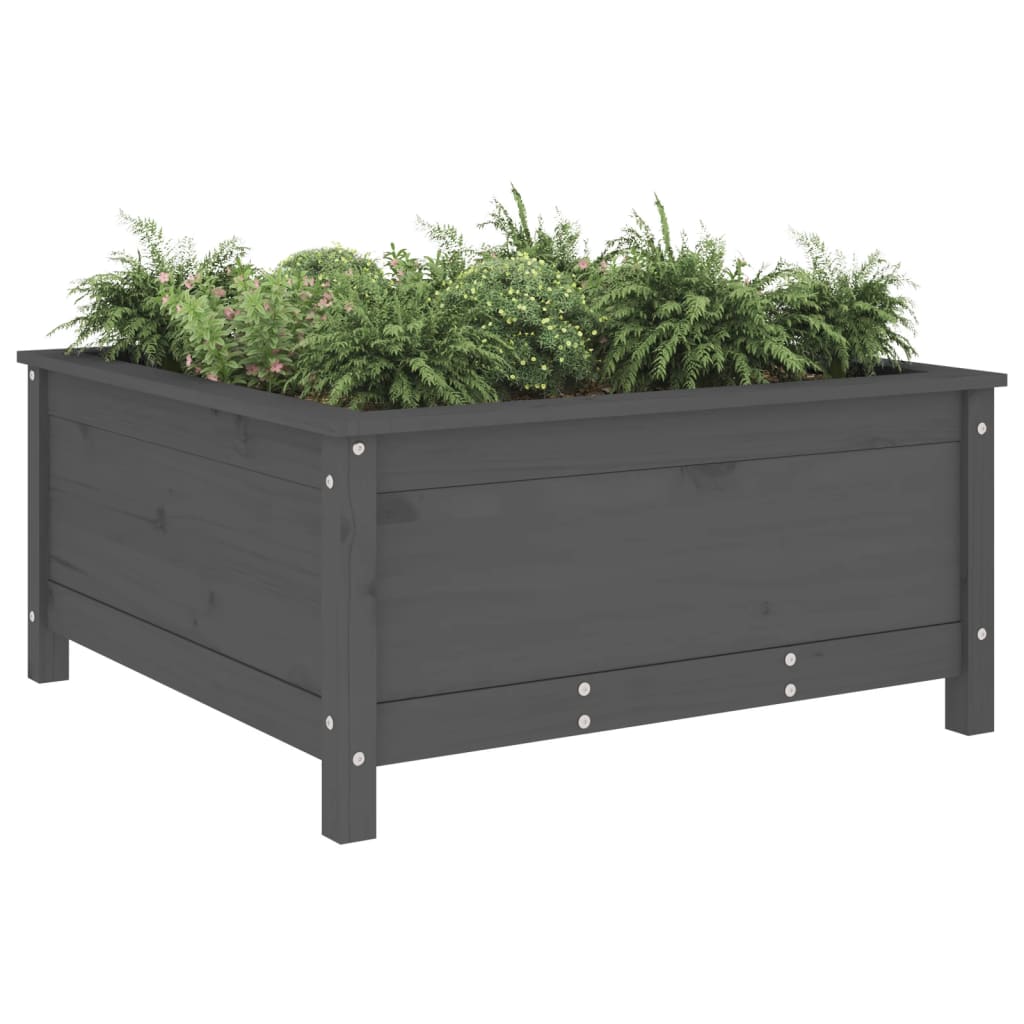 Vidaxx Pflanzgefäß 82,5x82,5x39 cm massives Kiefernholz grau