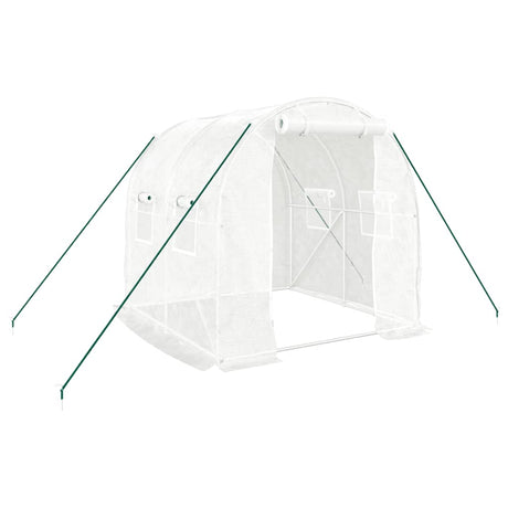 Vidaxxl Gartengewächshaus mit Stahlrahmen 4 m² 2x2x2 m