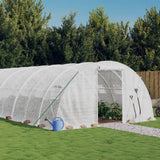 VidaXL Gartengewächshaus mit Stahlrahmen 24 m² 6x4x2 m weiß