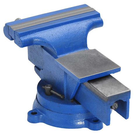 VidaXL Schraubstock 150 mm Gusseisen blau