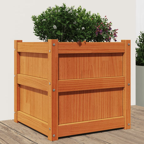 Vidaxx Pflanzgefäß 50x50x50 cm massives Kiefernholz, braun gewaschen