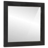 Vidaxl badkamerspiegel 55x1x60 cm glas en massief mangohout