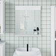 Vidaxl badkamerspiegel met schap berg 60x12x70 cm massief hout wit