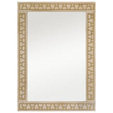 Vidaxx Badezimmerspiegel 50x70x2,5 cm aus massivem Mangoholz und Glas