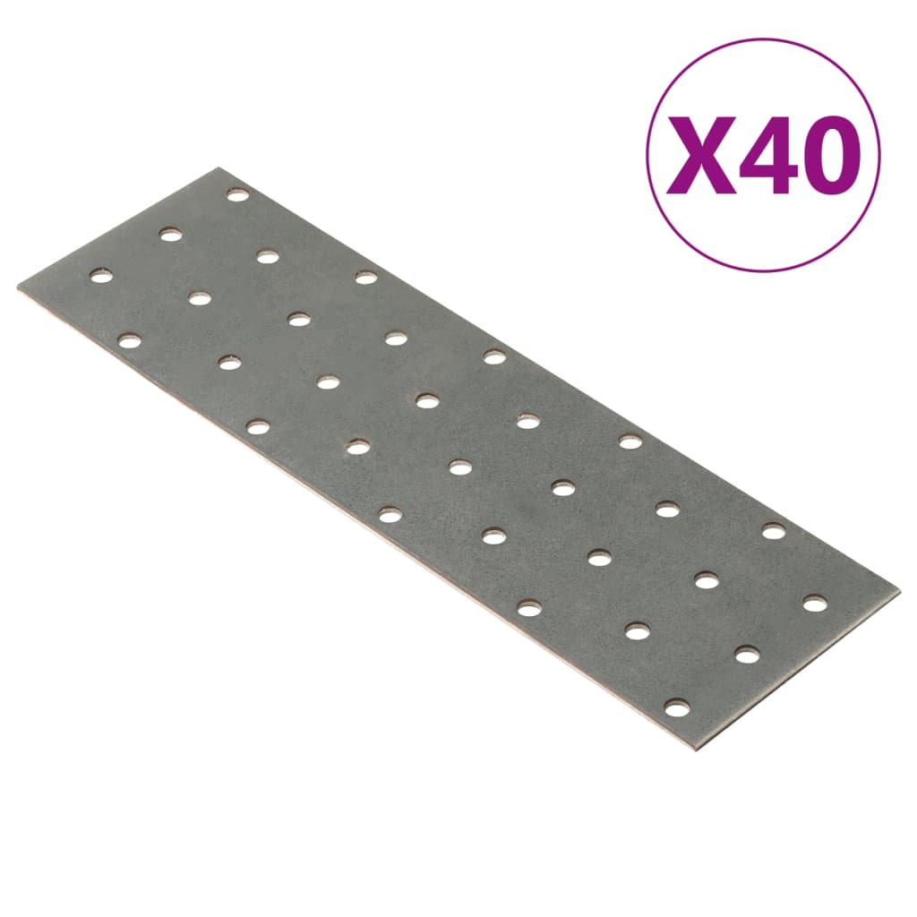 VidaXL Bleche perforiert 40 Stück 2 mm 200x60 mm verzinkter Stahl