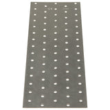 VidaXL Bleche perforiert 20 Stück 2 mm 300x100 mm verzinkter Stahl