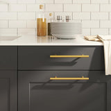 Vidaxx Griffe 10 Stück 160 mm Edelstahl goldfarben