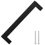 VidaXL Griffe 10 Stück 160 mm Edelstahl schwarz