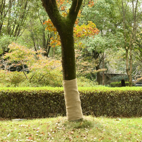 VidaXL Juterollen 2 Stk. 200 g m² 1x50 m 100 % Jute