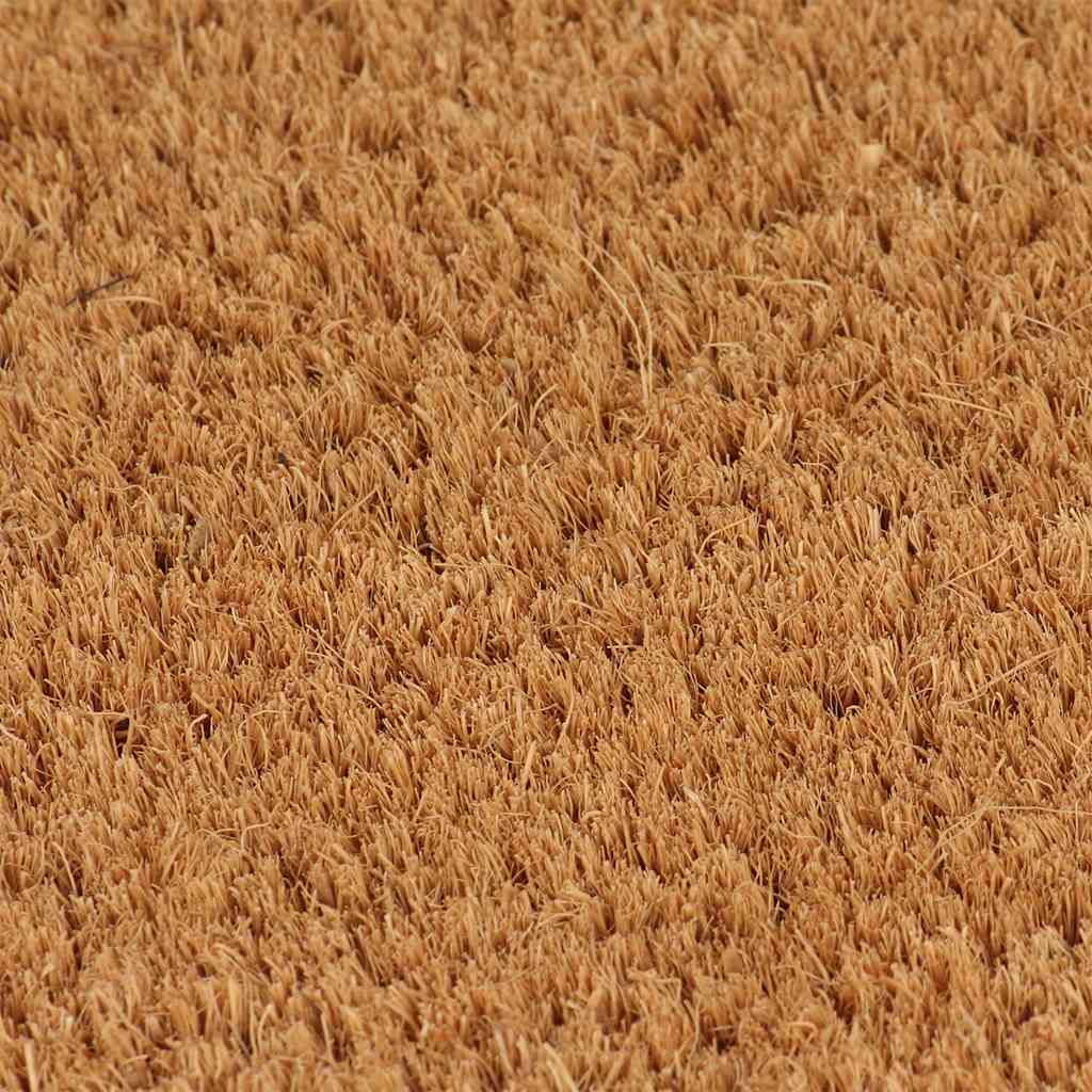 VidaXL Fußmatte 100x200 cm getuftete Kokosfaser natur