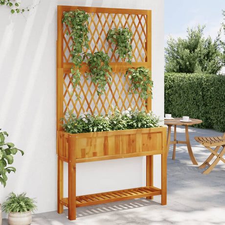 Vidaxx Pflanzgefäß mit Rankgitter und Ablage 100x32x185 cm Akazienholz