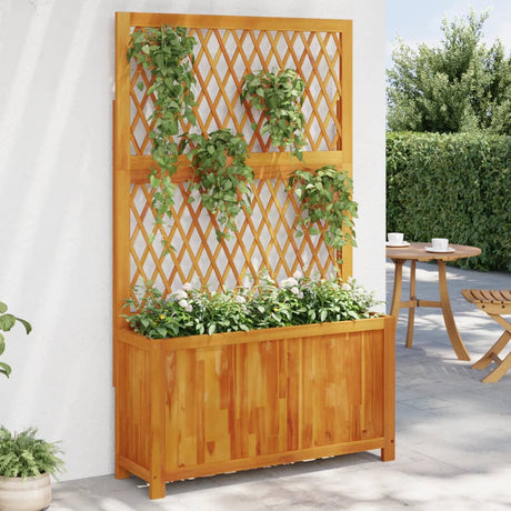 Vidaxx Pflanzgefäß mit Spalier 100x32x165 cm aus massivem Akazienholz