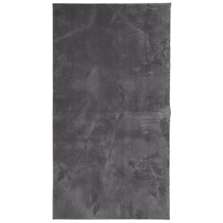VidaXL Teppich Huarte Kurzflor weich waschbar 60x110 cm Anthrazit