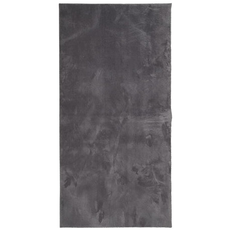 VidaXL Teppich Huarte Kurzflor weich waschbar 100x200 cm Anthrazit