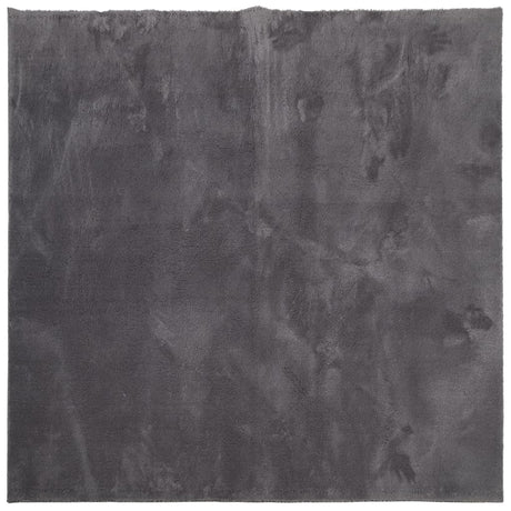 VidaXL Teppich Huarte Kurzflor weich waschbar 120x120 cm Anthrazit