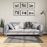 VidaXL Teppich Huarte Kurzflor weich waschbar 120x120 cm Anthrazit