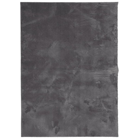 VidaXL Teppich Huarte Kurzflor weich waschbar 120x170 cm Anthrazit