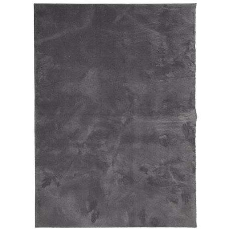 VidaXL Teppich Huarte Kurzflor weich waschbar 140x200 cm Anthrazit