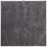 VidaXL Teppich Huarte Kurzflor weich waschbar 160x160 cm Anthrazit