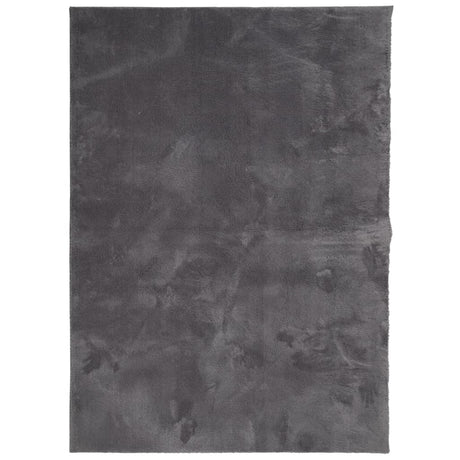 VidaXL Teppich Huarte Kurzflor weich waschbar 240x340 cm Anthrazit